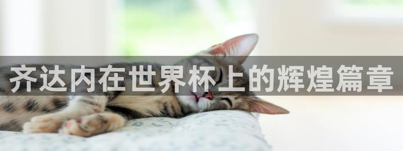 足球世界杯2026年赛程时间表:齐达内在世界杯上的辉煌篇章
