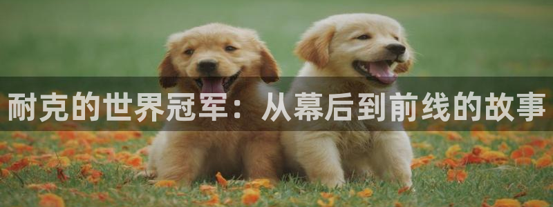 世界杯对阵表:耐克的世界冠军:从幕后到前线的故事