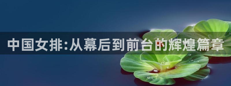 中国 世界杯:中国女排:从幕后到前台的辉煌篇章